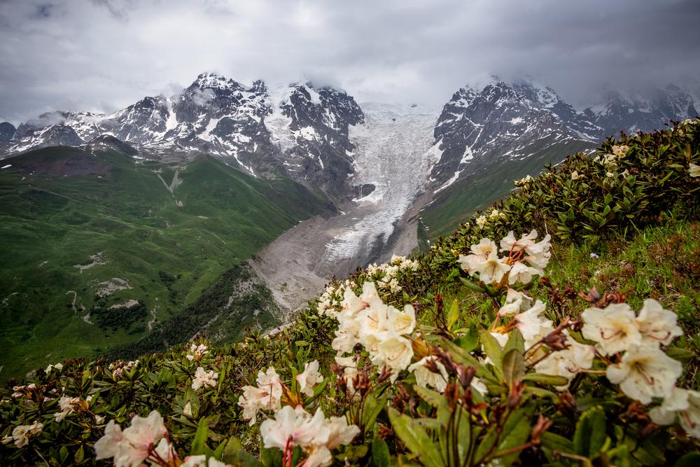 Adishi Glacier, Georgia