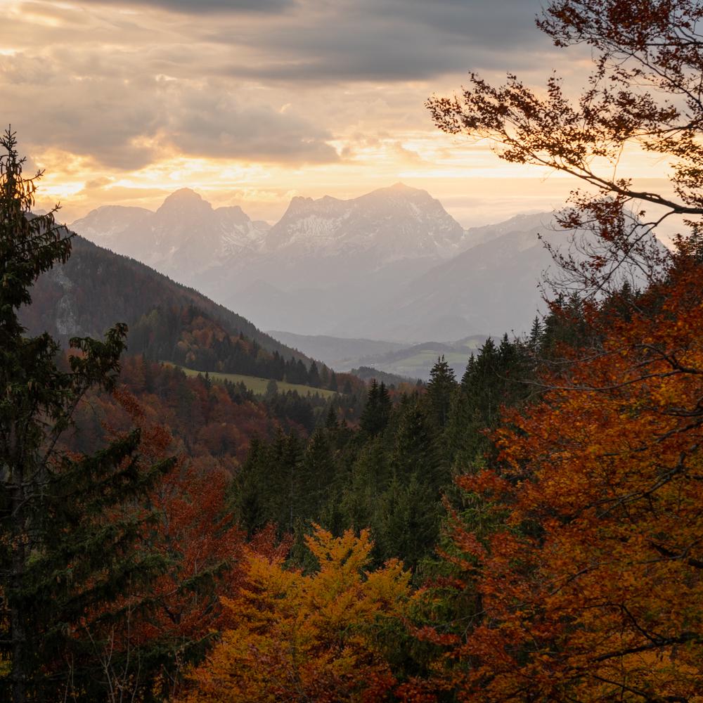 Autumnal tones