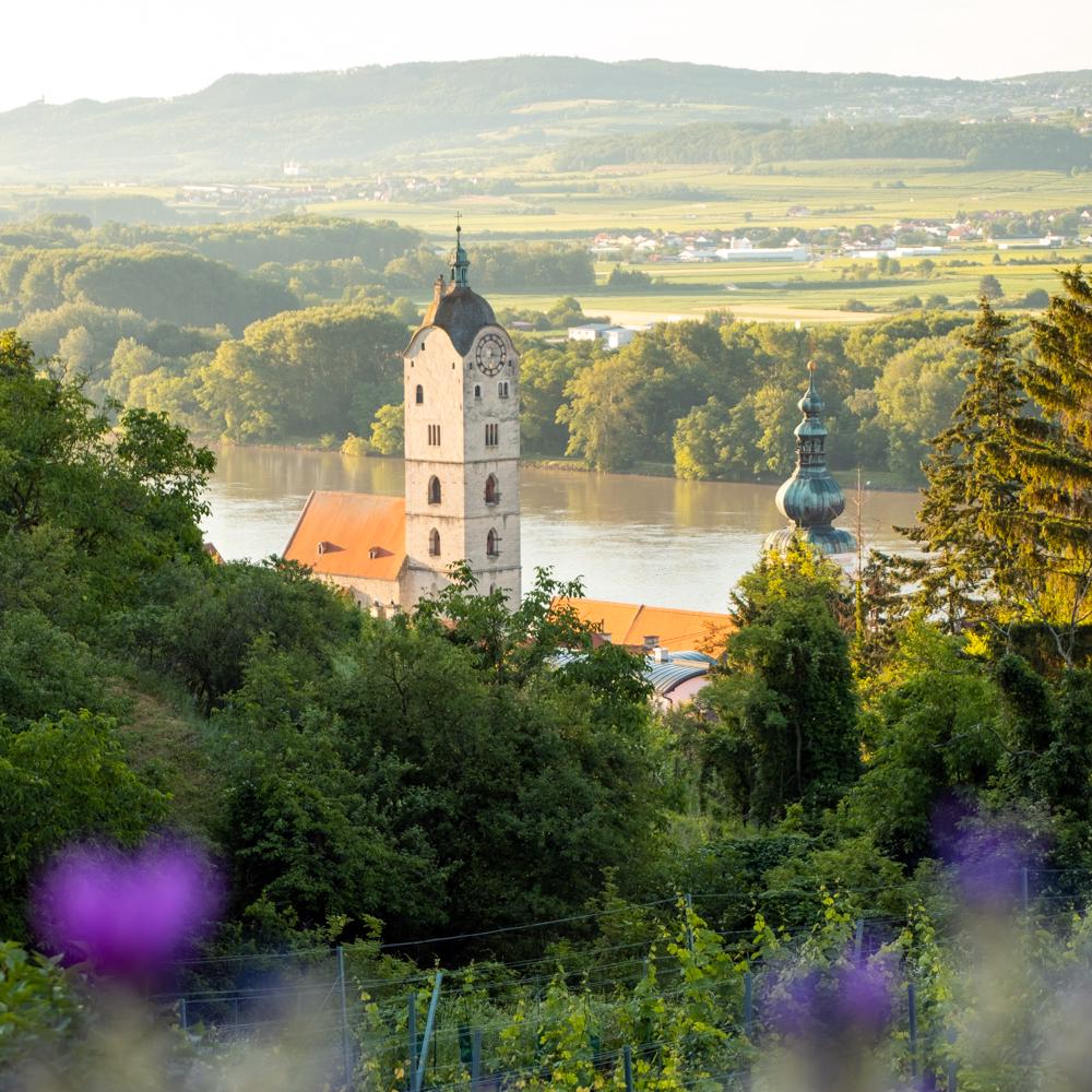 Churches & Landscapes