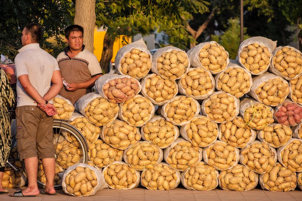 Bukhara Market, Uzbekistan