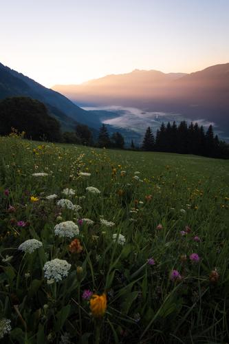 Summer sunrise, Drau Valley, Austria