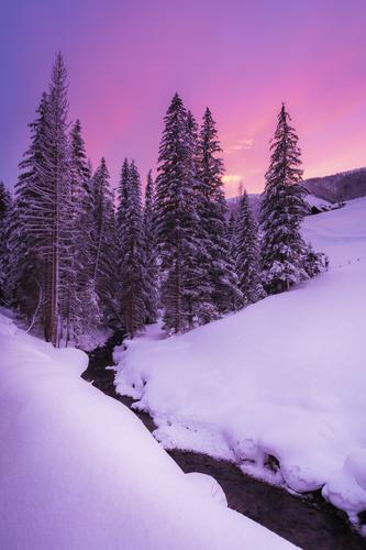 Magical pink sunset, Carinthia, Austria