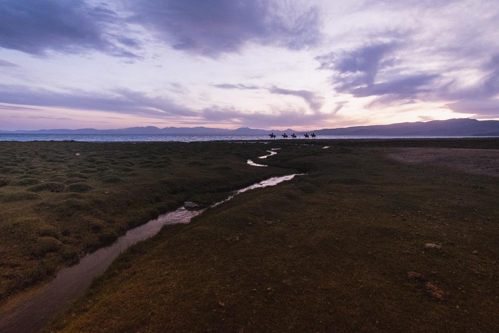Horses on the lake shore, Song Köl, Kyrgyzstan