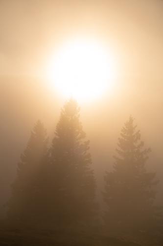 Velika Planina, Slovenia
